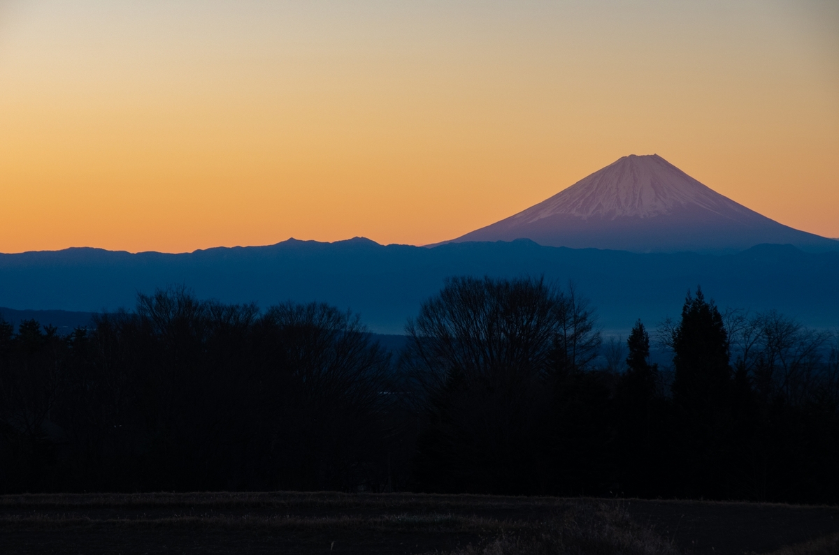 白州の水と暮らす｜名水の里で叶える自然素材の家づくり