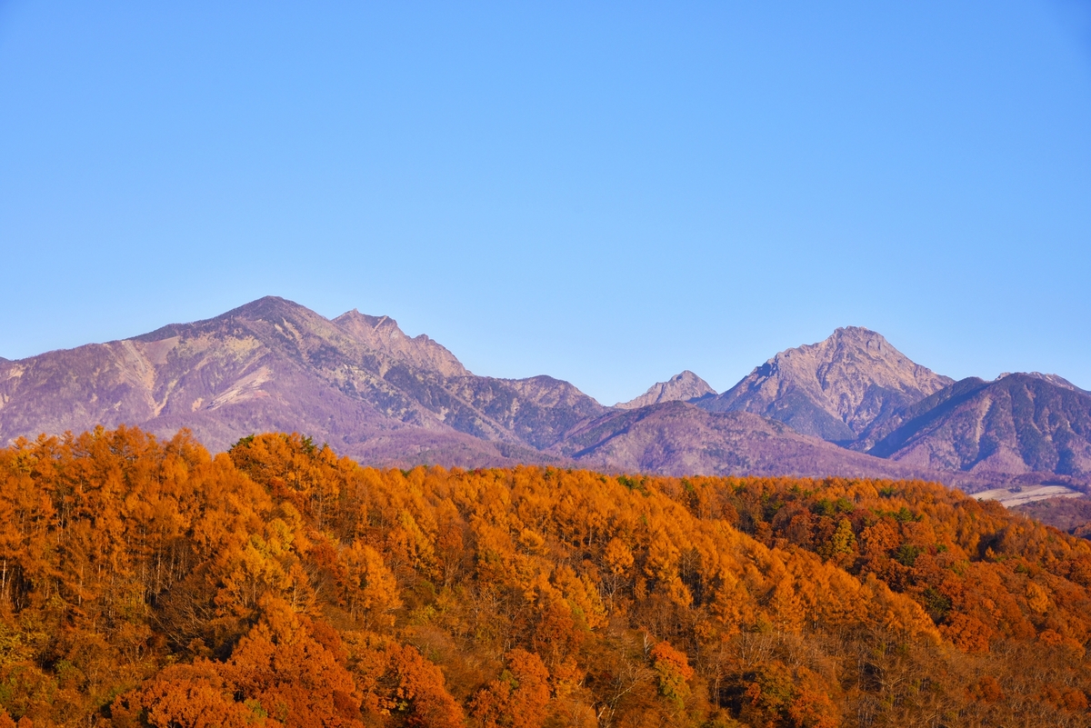 在宅ワークの騒音対策｜家の間取りで子どもの声と会議を両立