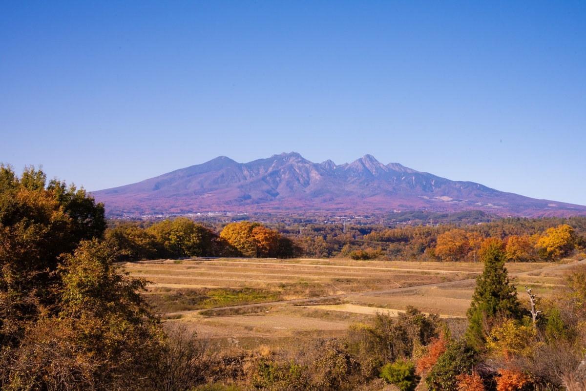 清里で開業：カフェオーナーの北杜市移住ロードマップ