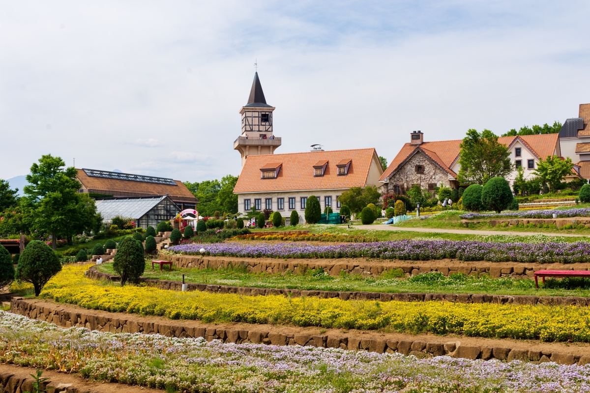 実家のリフォームにも最適。無添加住宅の素材で「健康寿命」を延ばす