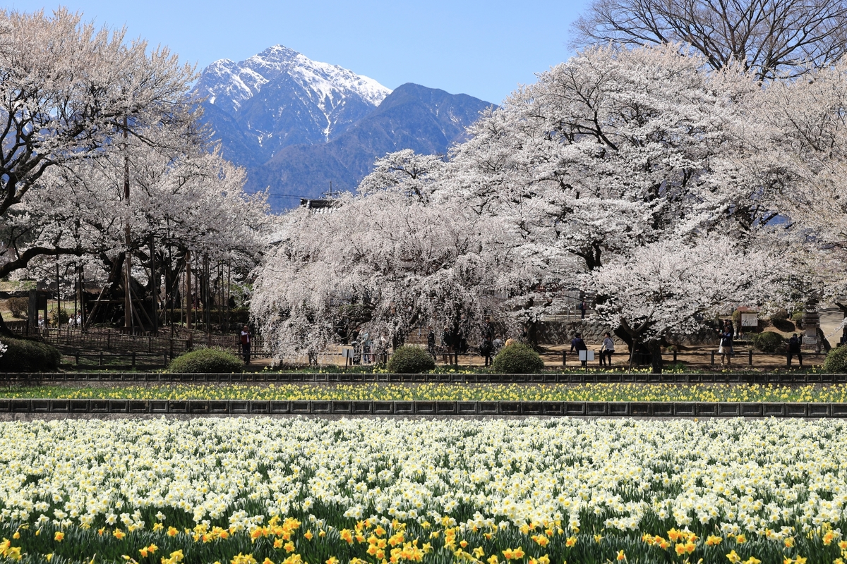 日射量日本一を味方につける。パッシブデザインの基本の「き」